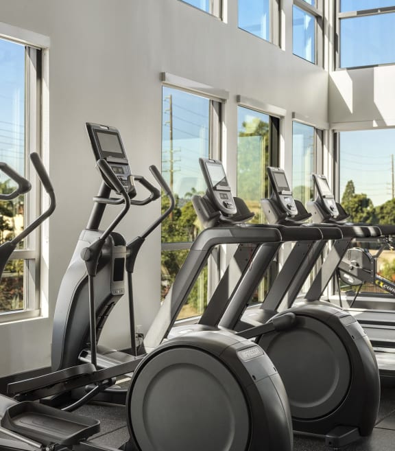 a row of cardio exercise machines in a gym