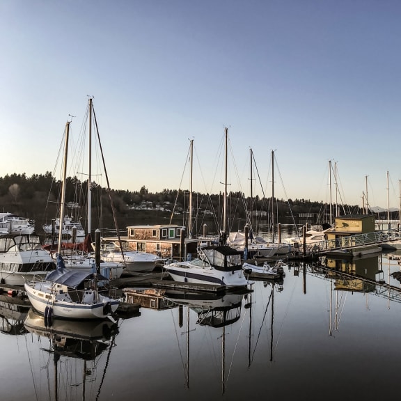harbor with boats Capitol Crossing in Olympia, WA