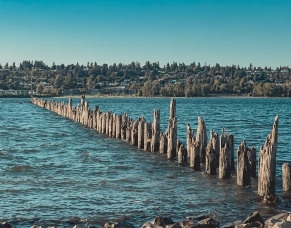 Beautiful Lake with Views and Old Dock in Water