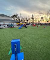 a dog park with green turf at aurora apartments