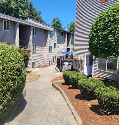 A sunny day at the apartment complex with green bushes and a clear blue sky.