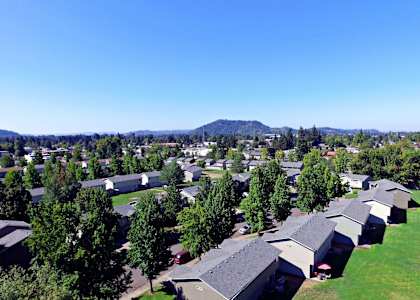 an aerial view of a neighborhood with houses and trees
