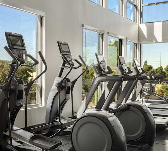 a row of cardio exercise machines in a gym