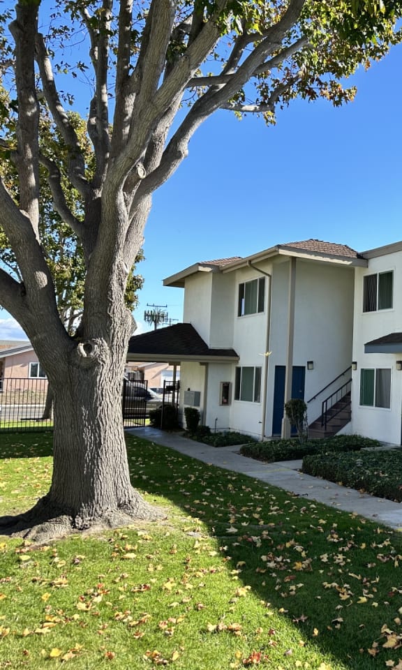 a view of Southwinds Apartments