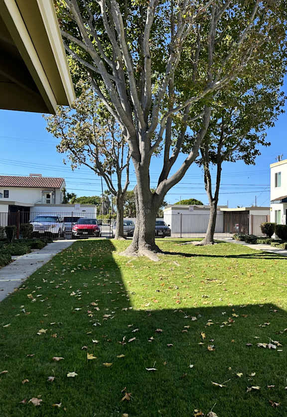 courtyard view of Southwinds