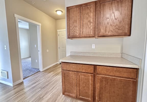 A kitchen with wooden cabinets and a countertop.