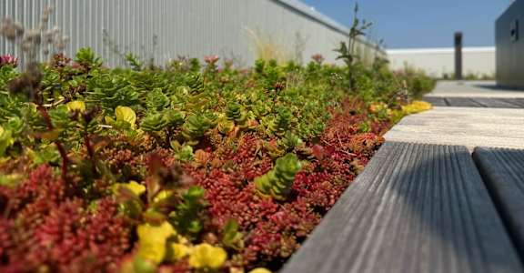 a garden with red and green plants next to a wooden bench at Junction Central, Washington, 98116