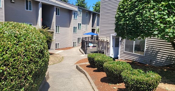 A sunny day at the apartment complex with green bushes and a clear blue sky.