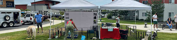 A white tent is set up in a grassy field with people standing around it.