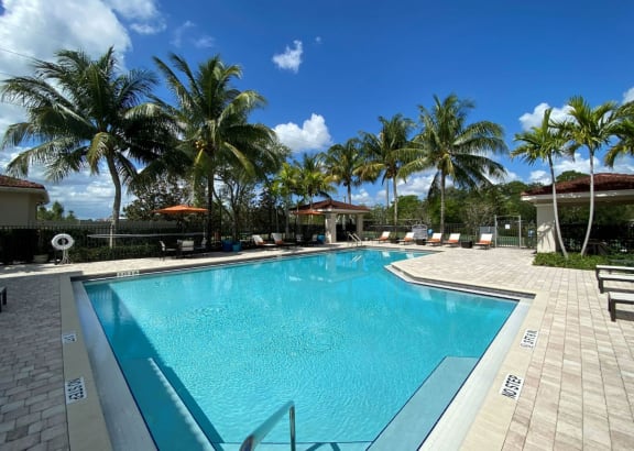 Pool  at Casa Brera, Florida, 33463