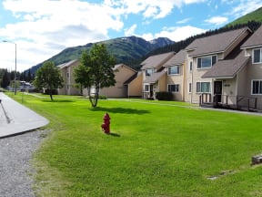 Lawn with trees