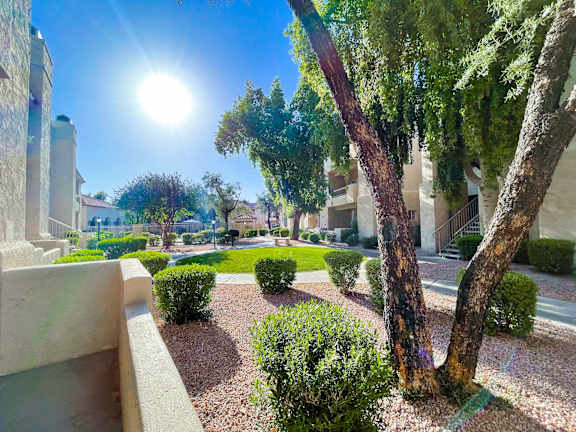 A sunny day in a well-maintained garden with trees and bushes.