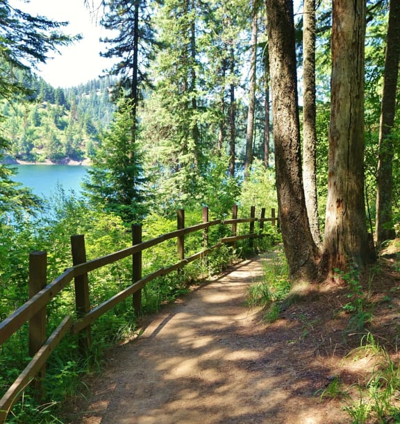 Hiking Trail Along Lake Coeur d'Alene