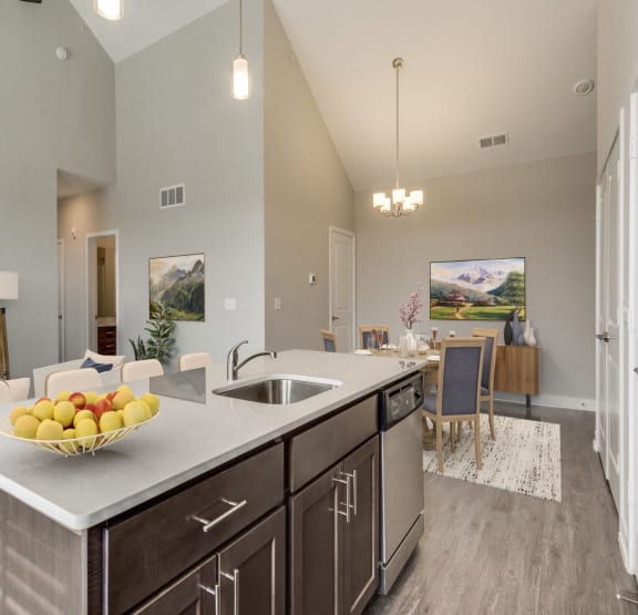 Modern kitchen at Montgomery Place Apartments, Montgomery, IL, 60538