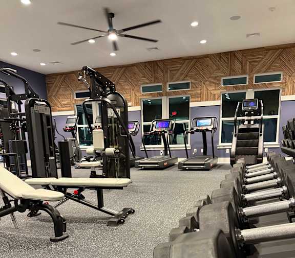 A gym with a variety of equipment including treadmills, weights, and a bench.