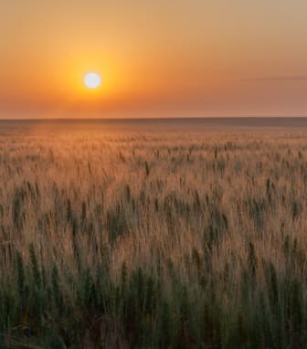Beautiful View of Prairie at Sunset