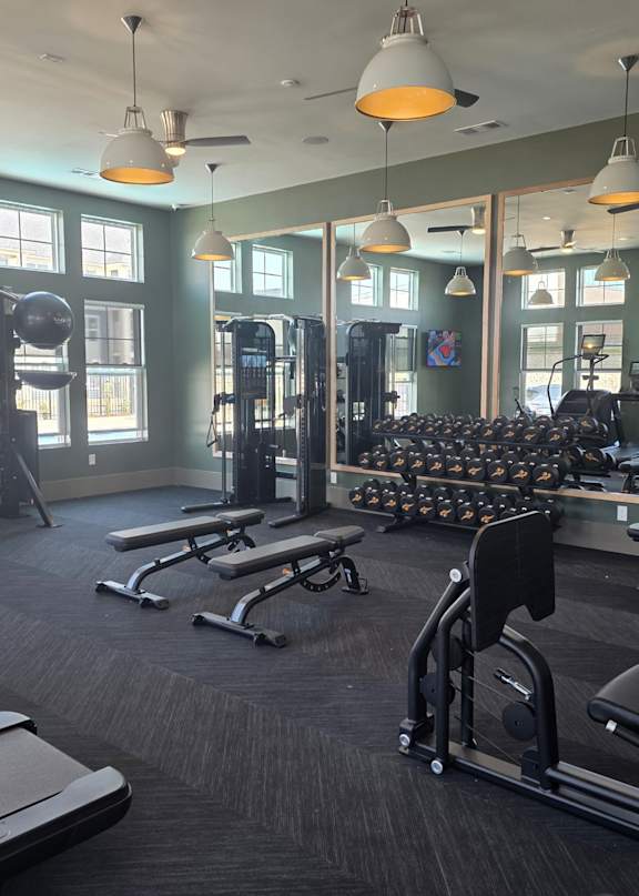 A gym with a variety of equipment including treadmills, weights, and benches.