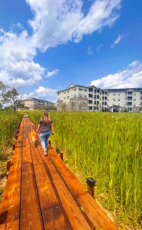 a woman walking her dog on a wooden boardwalk in a field  at Timber Ridge, Forest Lake, 55025