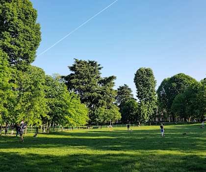 A park with green grass and trees under a blue sky.