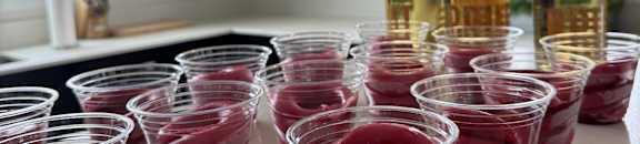 A row of wine glasses are lined up on a shelf.