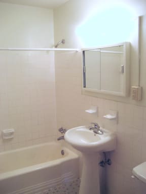 Blair Place Bathroom, St. Paul, Minnesota