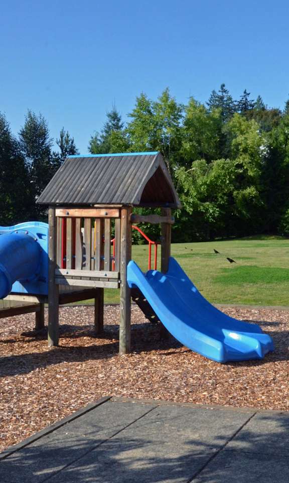 A playground with a blue slide and a wooden shelter.