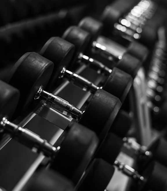 A row of dumbbells in a gym.