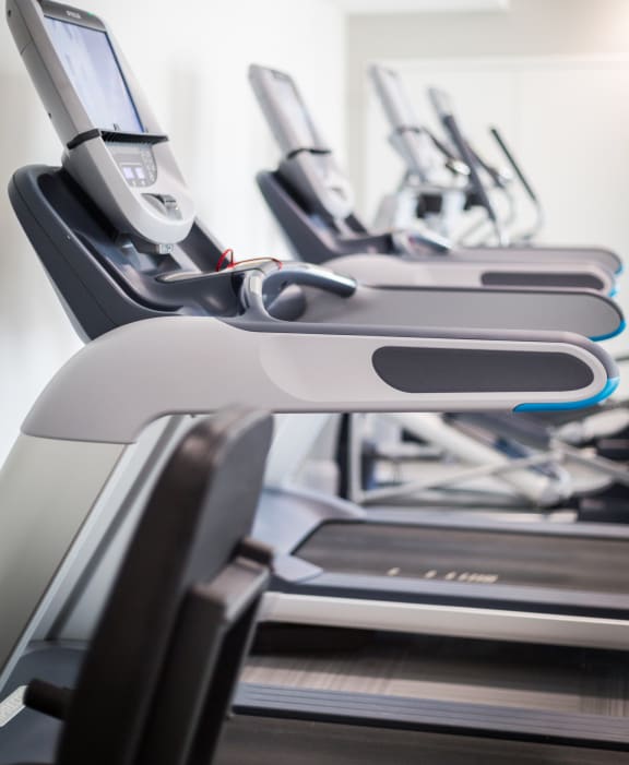a row of cardio exercise machines in a gym at Park 205, Park Ridge, 60068
