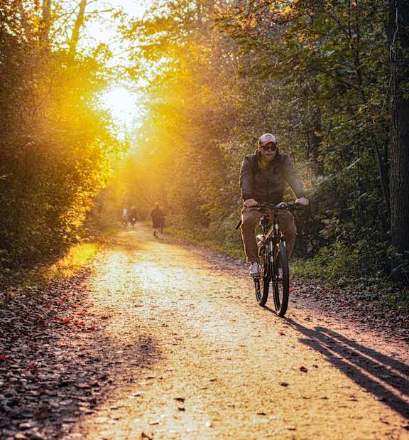 A person riding a bicycle on a path in the woods during sunset.