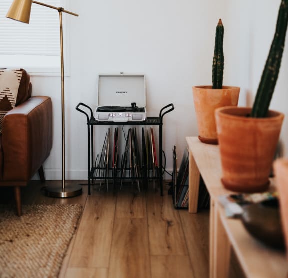 Model Living Room with Record Player and Plants