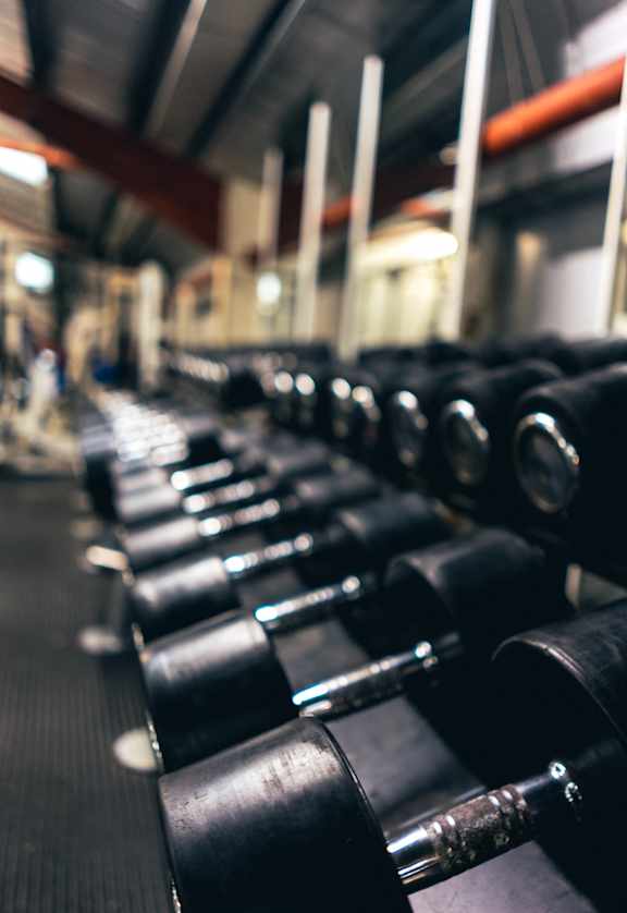 A gym with a row of black dumbbells.