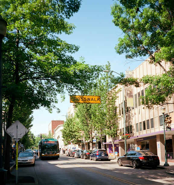 Cars and Transit Bus on City Street with Trees