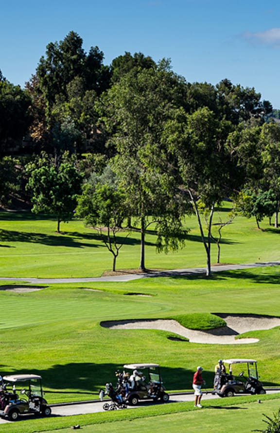 people playing golf on a golf course with other golf carts