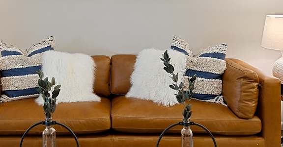 DeWitt Michigan Apartment Rentals Redwood DeWitt Flash Gallery Living Room