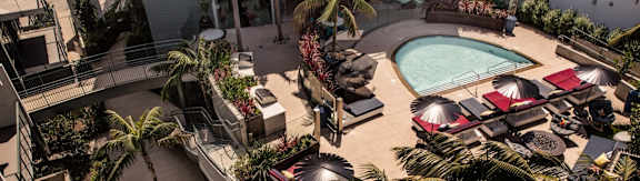A pool surrounded by palm trees and lounge chairs.
