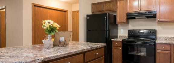 Bismarck, ND Fairview | a kitchen with black appliances and granite counter tops