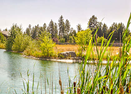 Image of lake at FOREST CREEK APARTMENTS, Washington
