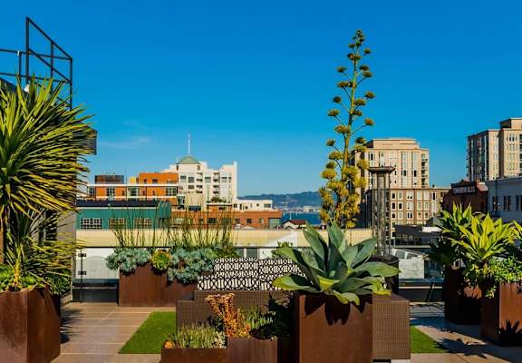 A rooftop garden at Arc Light, San Francisco, CA 94107