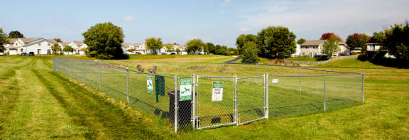 a dog park on a grassy hill with houses in the background