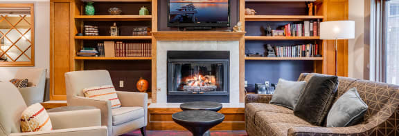 a living room with a fireplace and bookshelves