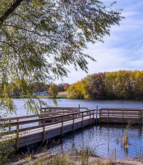 A serene lake surrounded by trees with a wooden dock extending into the water.