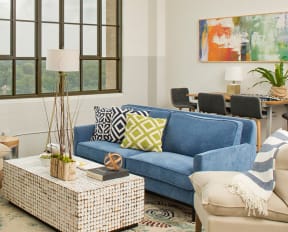 Colorful and Spacious Living Room at Parcels at Concourse