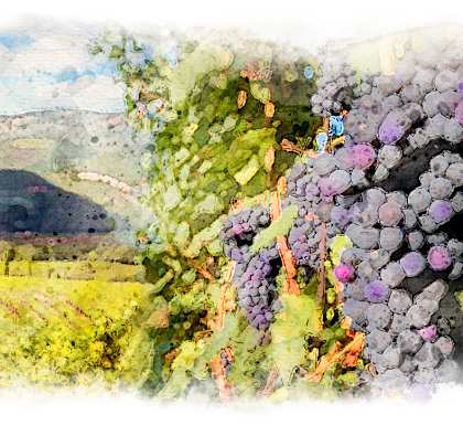 a painting of a vineyard with a church in the background