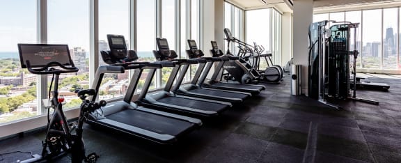 Fitness Center at The Apartments at Lincoln Common in Chicago IL