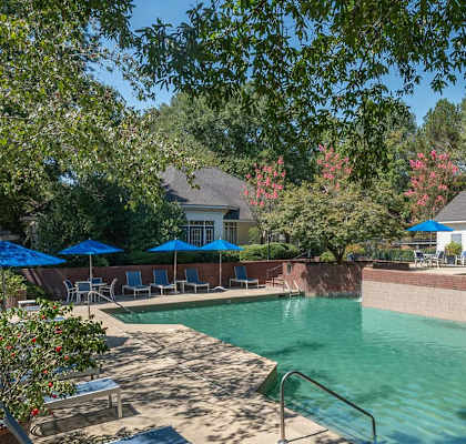 A pool surrounded by trees and a fence.
