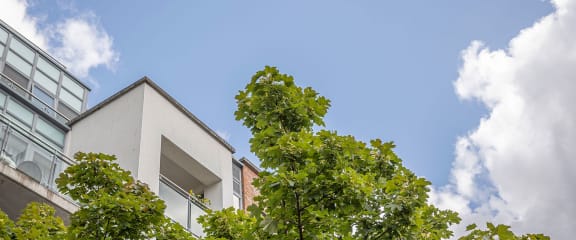 the corner of a building with a tree in front of it