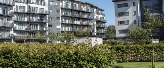 a view of an apartment building from a park