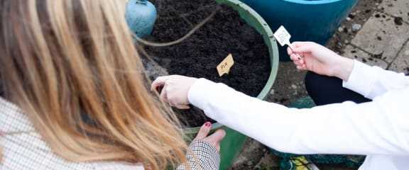 a woman planting a seedling into a pot of soil