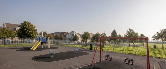 a playground at a park with swings and other playground equipment