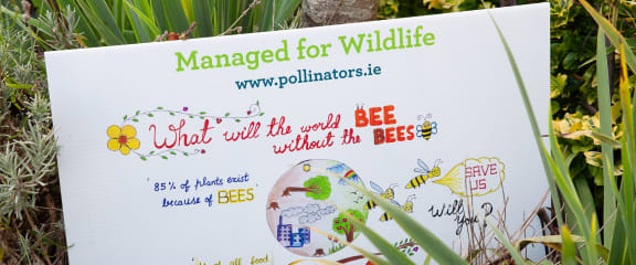 a sign that saysmanaged for wildlife what will the seed be without the bees